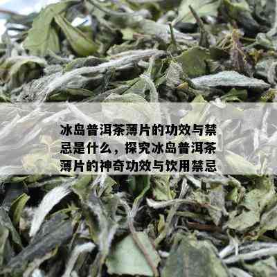 冰岛普洱茶薄片的功效与禁忌是什么，探究冰岛普洱茶薄片的神奇功效与饮用禁忌