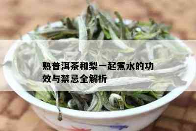 熟普洱茶和梨一起煮水的功效与禁忌全解析