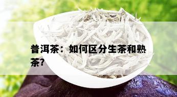 普洱茶：如何区分生茶和熟茶？