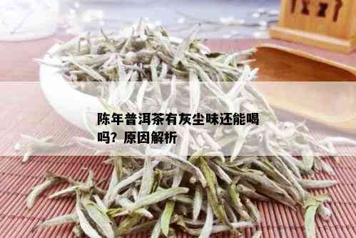 陈年普洱茶有灰尘味还能喝吗？原因解析