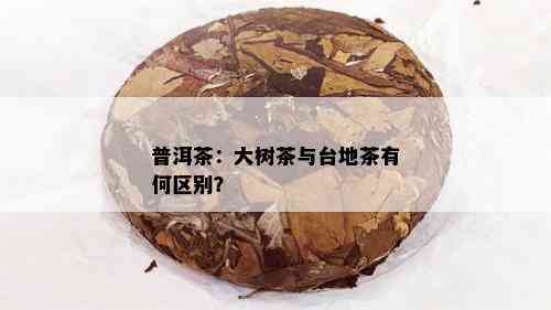 普洱茶：大树茶与台地茶有何区别？