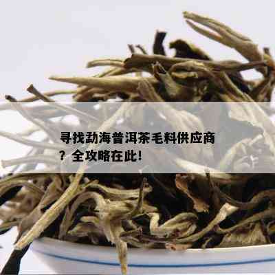 寻找勐海普洱茶毛料供应商？全攻略在此！