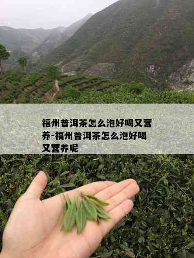 福州普洱茶怎么泡好喝又营养-福州普洱茶怎么泡好喝又营养呢