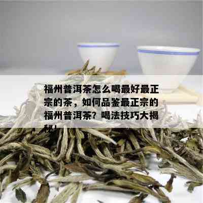 福州普洱茶怎么喝更好最正宗的茶，如何品鉴最正宗的福州普洱茶？喝法技巧大揭秘！