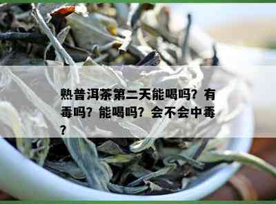 熟普洱茶第二天能喝吗？有吗？能喝吗？会不会中？