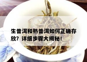 生普洱和熟普洱如何正确存放？详细步骤大揭秘！