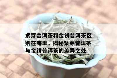 紫芽普洱茶和金饼普洱茶区别在哪里，揭秘紫芽普洱茶与金饼普洱茶的差异之处