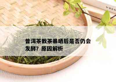 普洱茶散茶暴晒后是否仍会发酵？原因解析