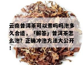 云南普洱茶可以煮吗吗泡多久合适，「解答」普洱茶怎么泡？正确冲泡方法大公开！