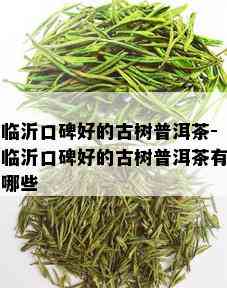 临沂口碑好的古树普洱茶-临沂口碑好的古树普洱茶有哪些