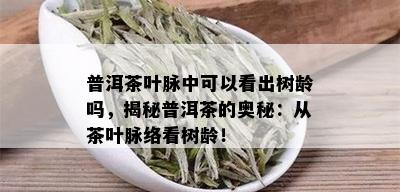 普洱茶叶脉中可以看出树龄吗，揭秘普洱茶的奥秘：从茶叶脉络看树龄！