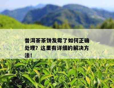 普洱茶茶饼发霉了如何正确处理？这里有详细的解决方法！