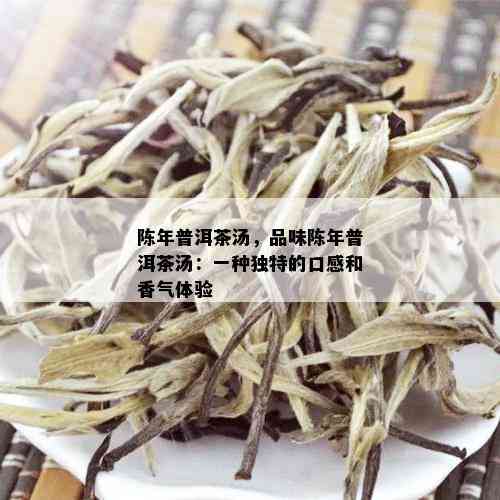 陈年普洱茶汤，品味陈年普洱茶汤：一种独特的口感和香气体验