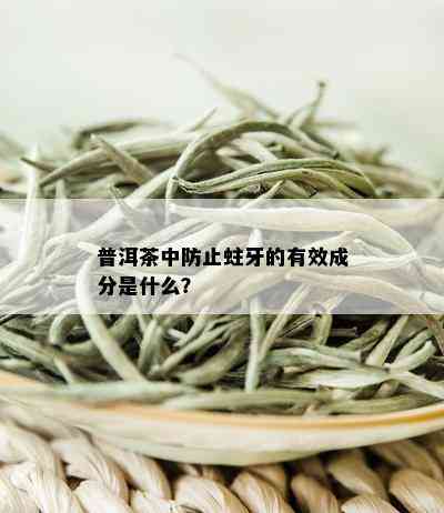 普洱茶中防止蛀牙的有效成分是什么？