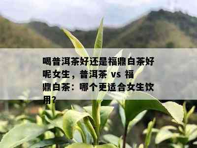 喝普洱茶好还是福鼎白茶好呢女生，普洱茶 vs 福鼎白茶：哪个更适合女生饮用？