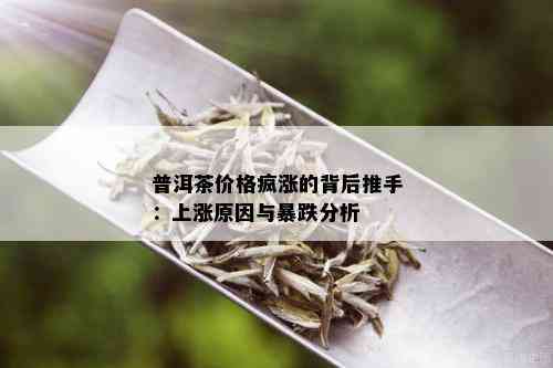 普洱茶价格疯涨的背后推手：上涨原因与暴跌分析