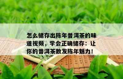 怎么储存出陈年普洱茶的味道视频，学会正确储存：让你的普洱茶散发陈年魅力！