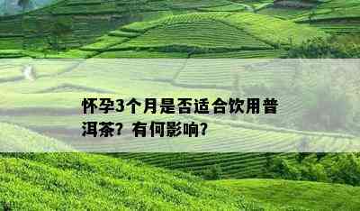 怀孕3个月是否适合饮用普洱茶？有何影响？