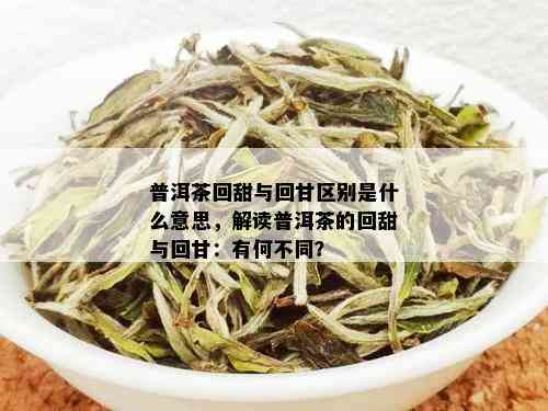 普洱茶回甜与回甘区别是什么意思，解读普洱茶的回甜与回甘：有何不同？