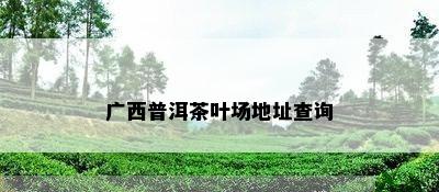 广西普洱茶叶场地址查询