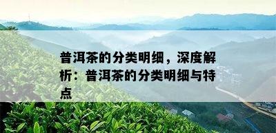 普洱茶的分类明细，深度解析：普洱茶的分类明细与特点