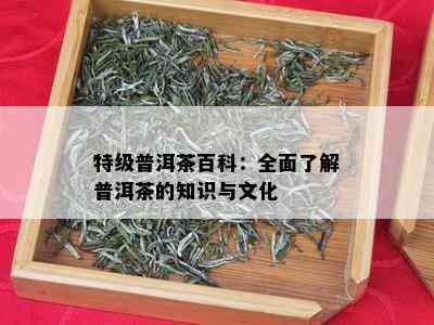 特级普洱茶百科：全面了解普洱茶的知识与文化