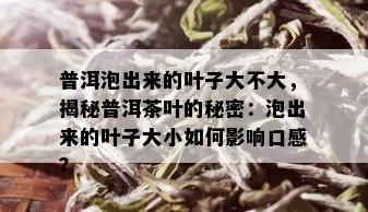 普洱泡出来的叶子大不大，揭秘普洱茶叶的秘密：泡出来的叶子大小如何影响口感？