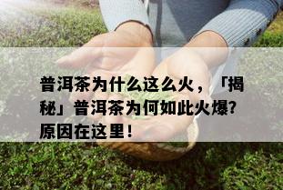 普洱茶为什么这么火，「揭秘」普洱茶为何如此火爆？原因在这里！