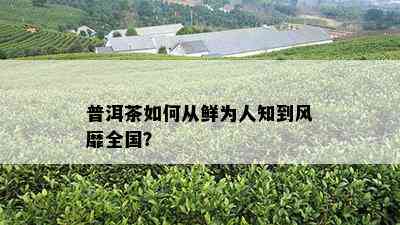 普洱茶如何从鲜为人知到风靡全国？