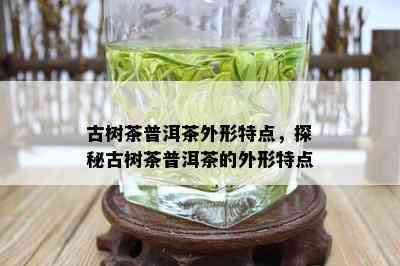 古树茶普洱茶外形特点，探秘古树茶普洱茶的外形特点