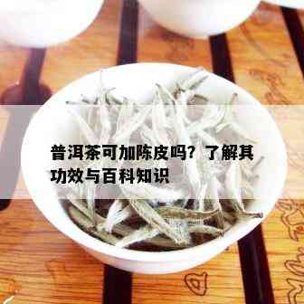 普洱茶可加陈皮吗？了解其功效与百科知识