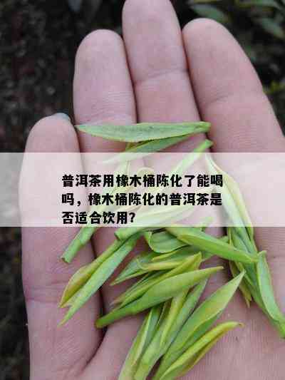 普洱茶用橡木桶陈化了能喝吗，橡木桶陈化的普洱茶是否适合饮用？