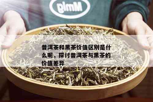 普洱茶和黑茶价值区别是什么呢，探讨普洱茶与黑茶的价值差异