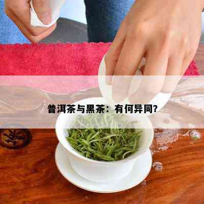 普洱茶与黑茶：有何异同？