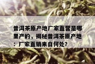 普洱茶原产地厂家直营是哪里产的，揭秘普洱茶原产地：厂家直销来自何处？