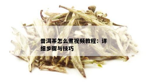 普洱茶怎么煮视频教程：详细步骤与技巧