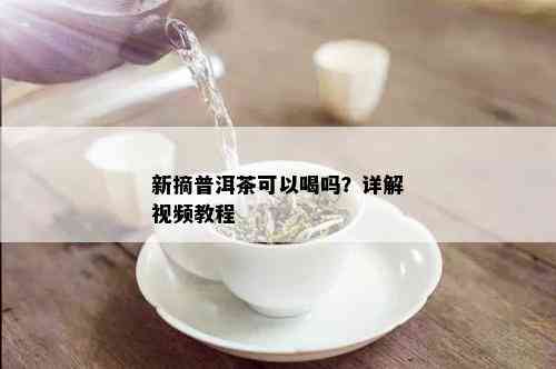 新摘普洱茶可以喝吗？详解视频教程