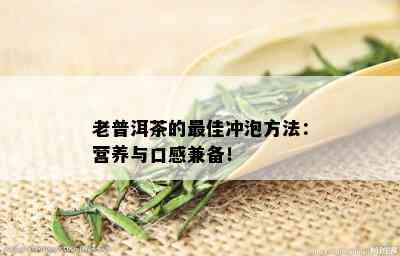 老普洱茶的更佳冲泡方法：营养与口感兼备！