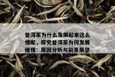 普洱茶为什么发展起来这么慢呢，探究普洱茶为何发展缓慢：原因分析与前景展望