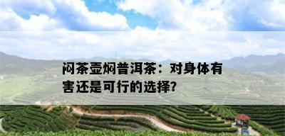 闷茶壶焖普洱茶：对身体有害还是可行的选择？