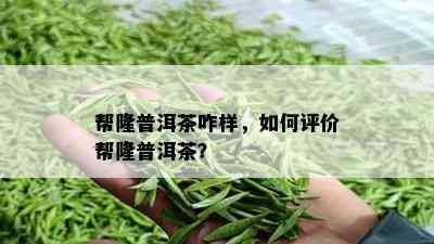 帮隆普洱茶咋样，如何评价帮隆普洱茶？