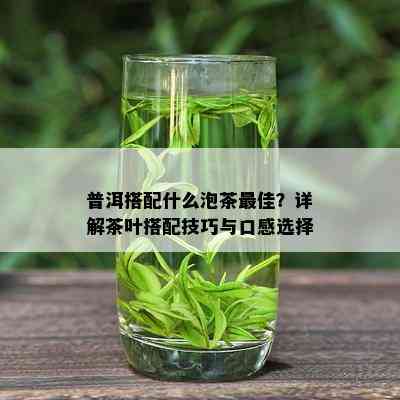 普洱搭配什么泡茶更佳？详解茶叶搭配技巧与口感选择