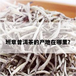 班章普洱茶的产地在哪里？