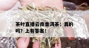 茶叶直播云南普洱茶：真的吗？上有答案！