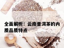 全面解析：云南普洱茶的内质品质特点