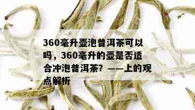 360毫升壶泡普洱茶可以吗，360毫升的壶是否适合冲泡普洱茶？——上的观点解析