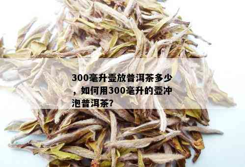 300毫升壶放普洱茶多少，如何用300毫升的壶冲泡普洱茶？