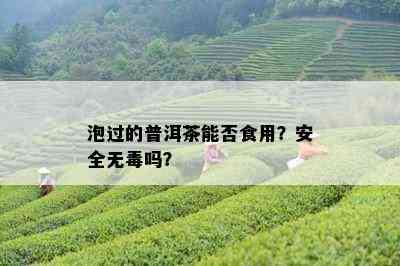 泡过的普洱茶能否食用？安全无吗？