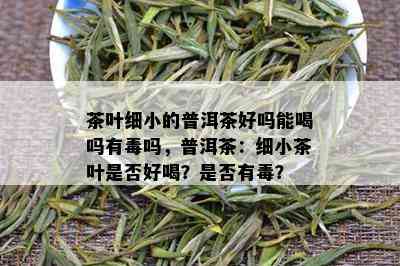 茶叶细小的普洱茶好吗能喝吗有吗，普洱茶：细小茶叶是否好喝？是否有？