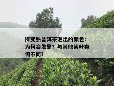 探究熟普洱茶泡出的颜色：为何会发黑？与其他茶叶有何不同？